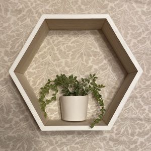 Wall decor with plant